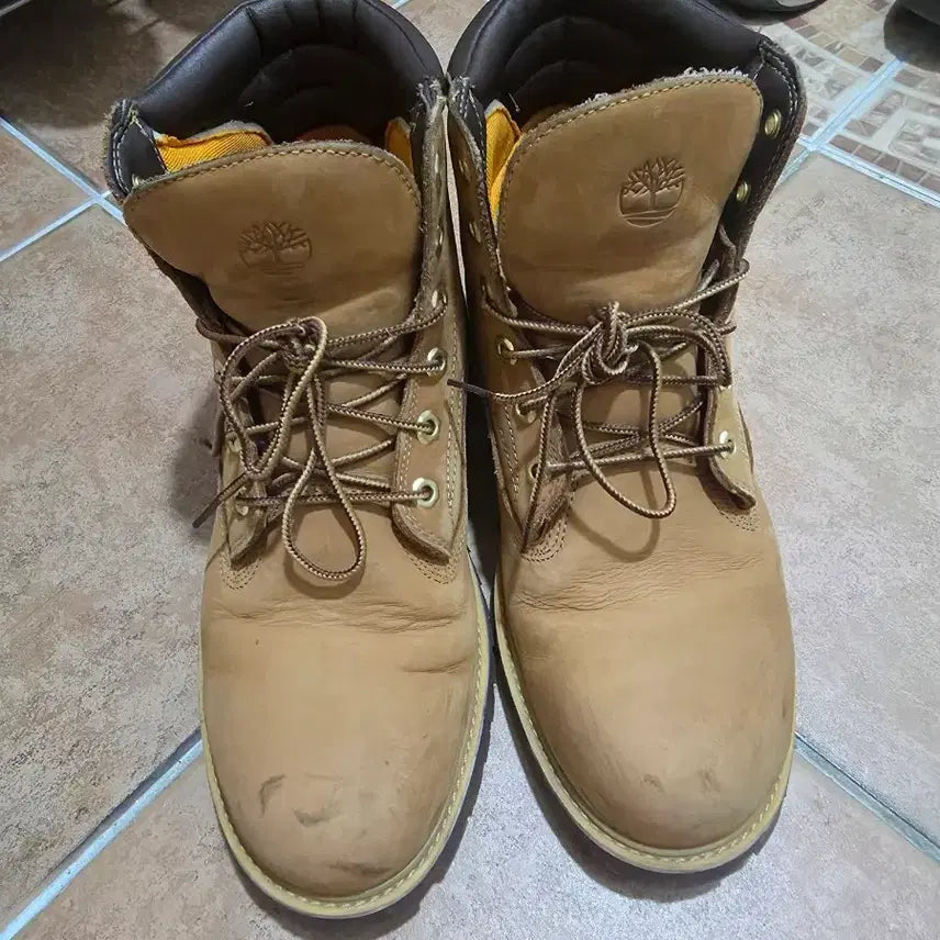 [BUNJANG] Timberland 6-Inch Boots / 팀버랜드 6인치  부츠 265~270