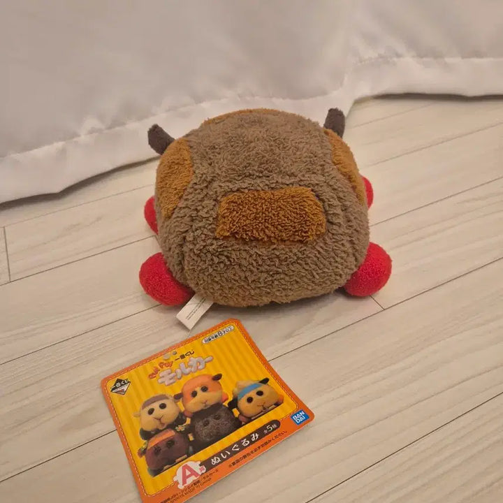 [BUNJANG] Moruca Teddy Bear Plush / 모루카 테디 인형