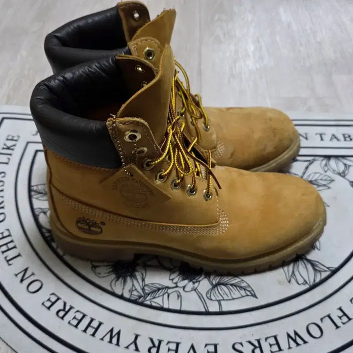 [BUNJANG] Timberland 6-Inch Premium Waterproof Boots (Wide) / [250~255]팀버랜드 6인치 프리미엄 워터프루프 부츠