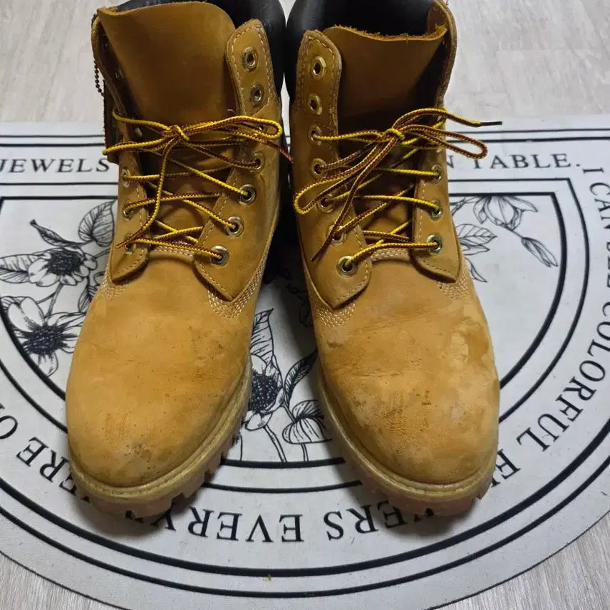 [BUNJANG] Timberland 6-Inch Premium Waterproof Boots (Wide) / [250~255]팀버랜드 6인치 프리미엄 워터프루프 부츠