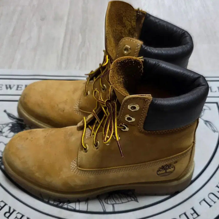 [BUNJANG] Timberland 6-Inch Premium Waterproof Boots (Wide) / [250~255]팀버랜드 6인치 프리미엄 워터프루프 부츠
