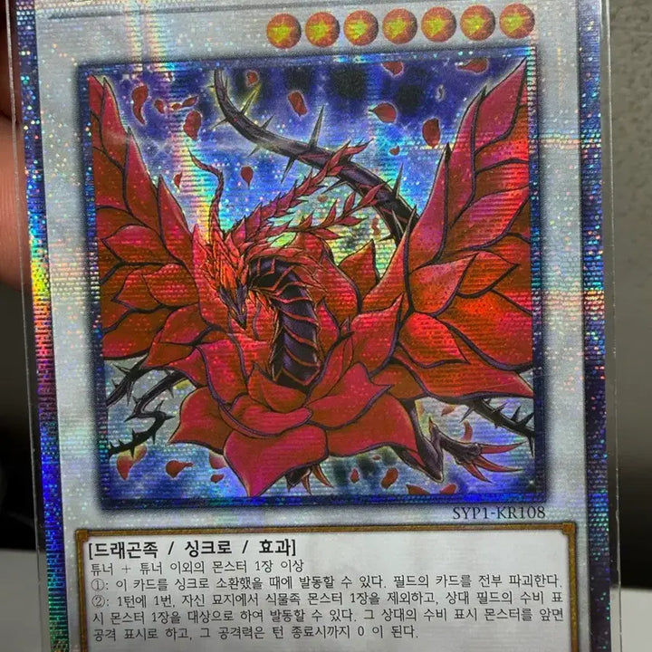 [BUNJANG] 유희왕 블랙 로즈 드래곤(SYP1-KR108)쿼터센추리시크릿레어 팝니다 / 유희왕 블랙 로즈 드래곤(SYP1-KR108)쿼터센추리시크릿레어 팝니다