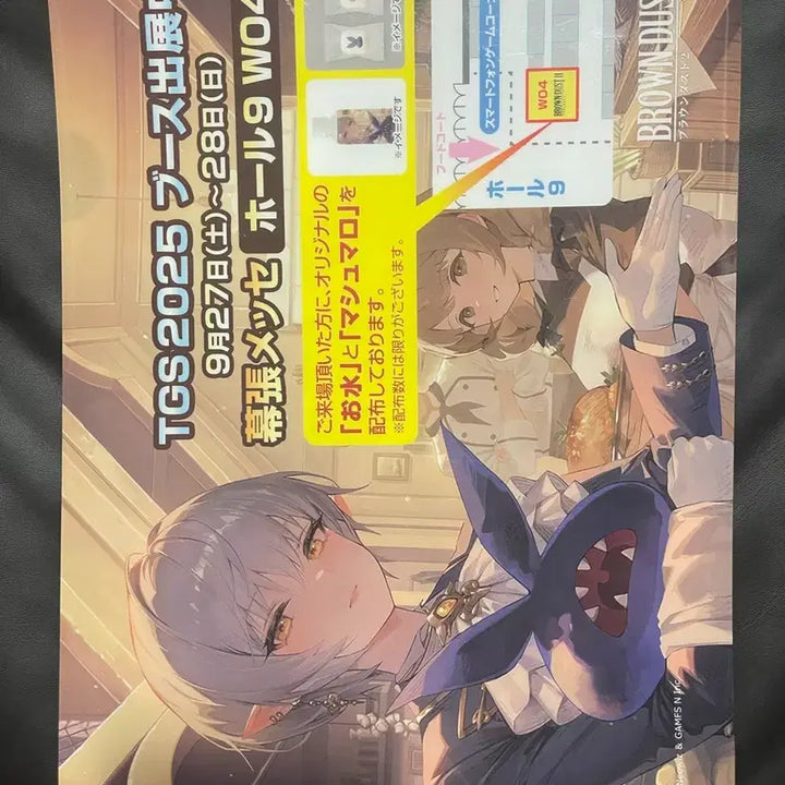 [BUNJANG] BrownDust2 Bunny Girl Darian, Zenith, Wilhelmina Card &amp; Clear File / agf 브라운더스트2 바니걸 카드 / 도쿄게임쇼 클리어파일