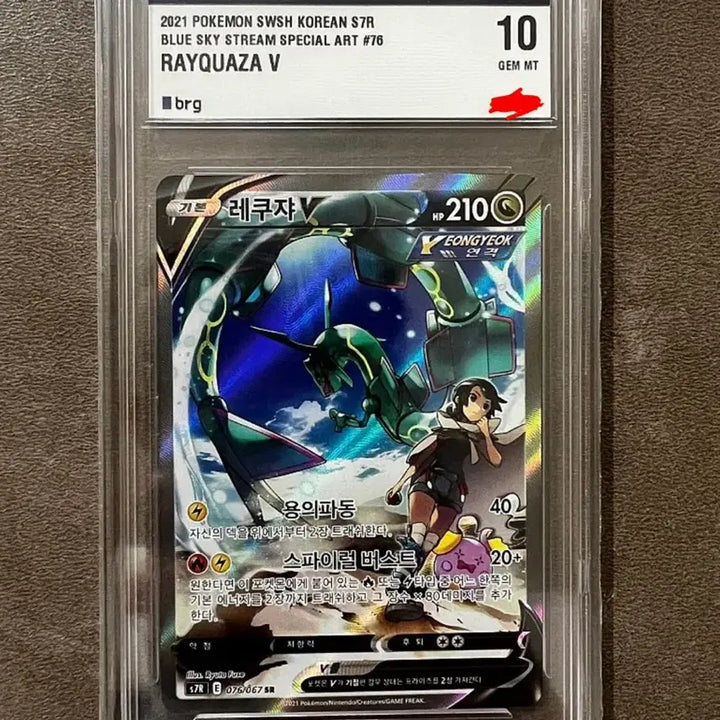 [BUNJANG] Pokemon Rayquaza Special Illustration Card / 포켓몬 레쿠쟈 특일 BRG 10 카드