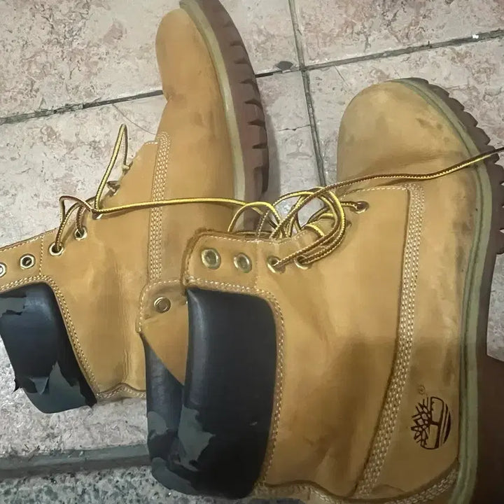 [BUNJANG] Timberland Yellow 6-Inch Work Boots Size 285 / 팀버랜드 옐로우 6인치 워커 부츠 285