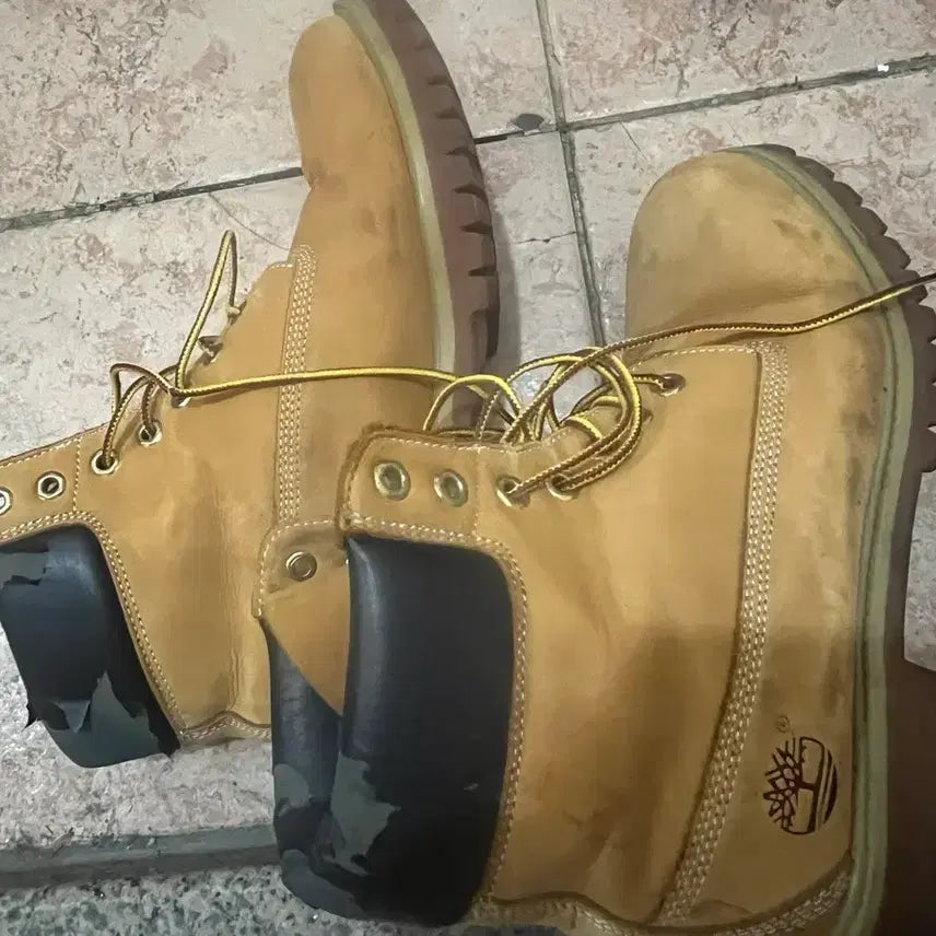 [BUNJANG] Timberland Yellow 6-Inch Work Boots Size 285 / 팀버랜드 옐로우 6인치 워커 부츠 285