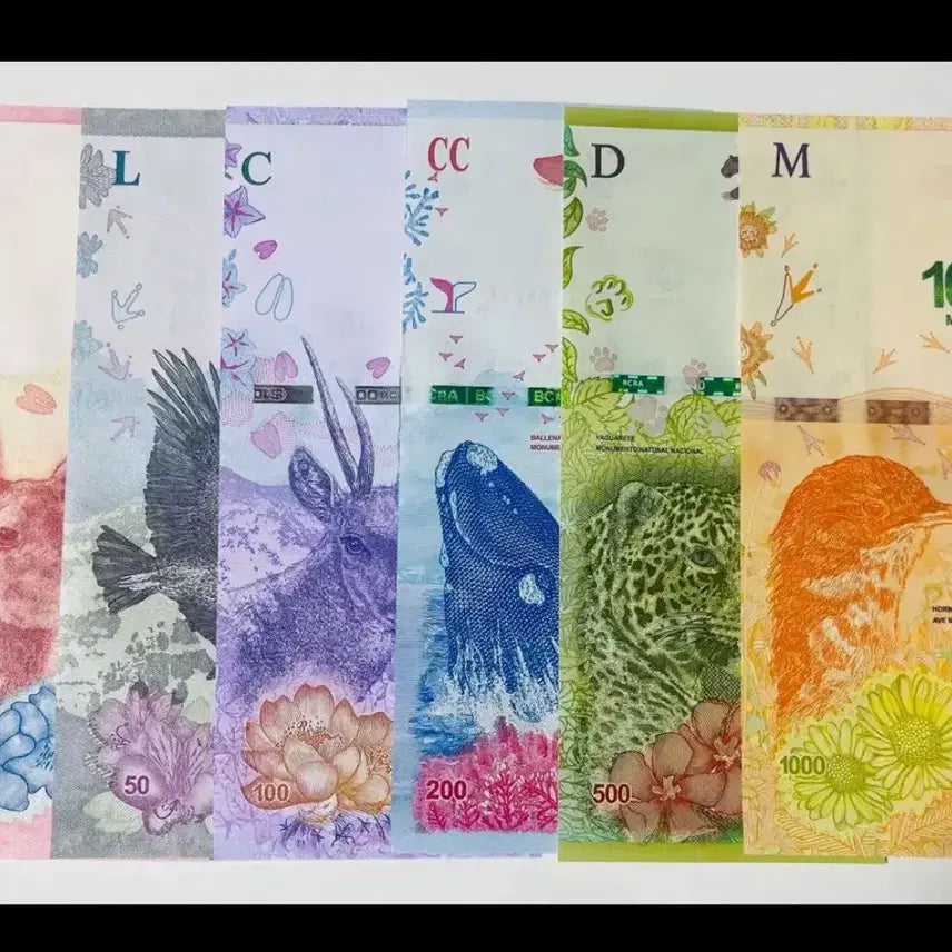 [BUNJANG] Argentina Peso 6-Note Set (Unused) / 아르헨티나 페소 6장세트 (완전미사용)