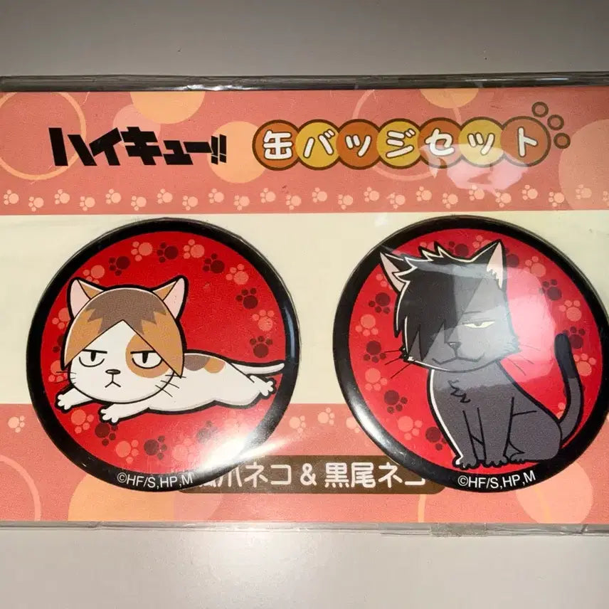 [BUNJANG] Haikyu Kenma &amp; Kuroo Neko Can Badge Set / [미개봉] 하이큐 점프샵 켄마 &amp; 쿠로오 네코 캔뱃지 세트