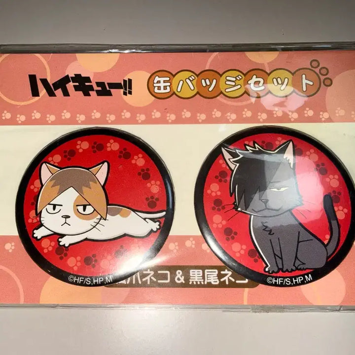 [BUNJANG] Haikyu Kenma &amp; Kuroo Neko Can Badge Set / [미개봉] 하이큐 점프샵 켄마 &amp; 쿠로오 네코 캔뱃지 세트