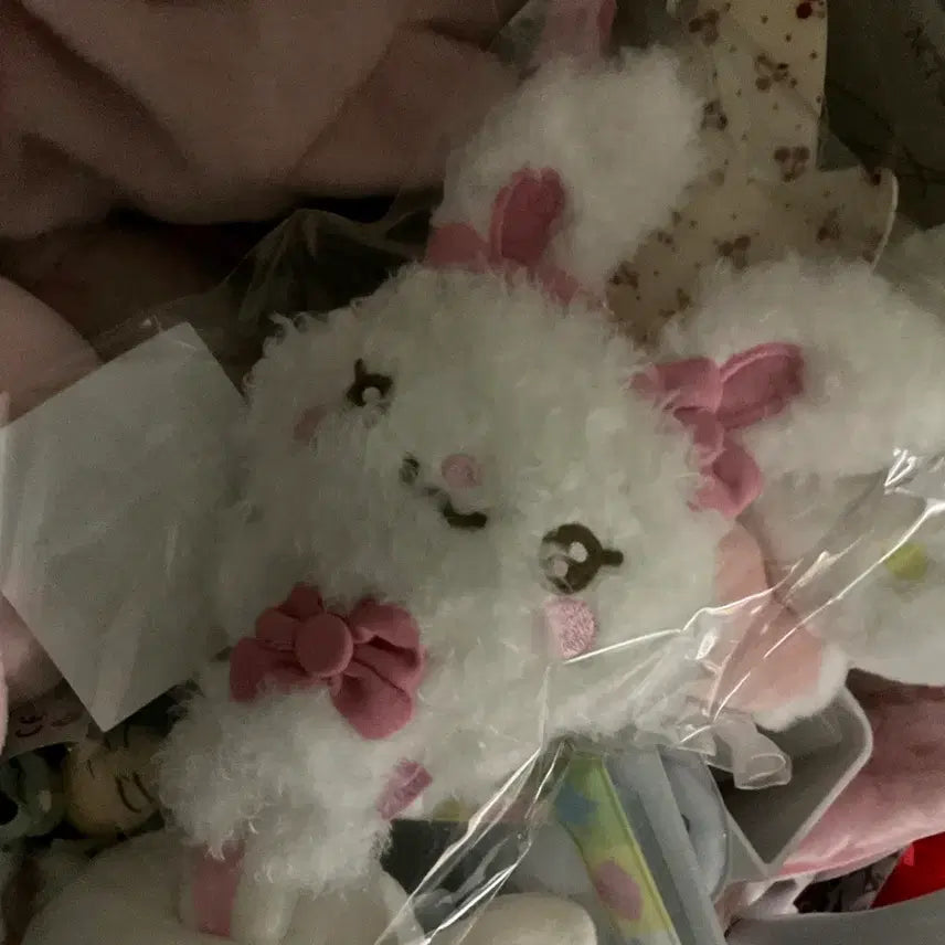 [SOLD OUT] 하뀨하 토라뮈 하투하 인형