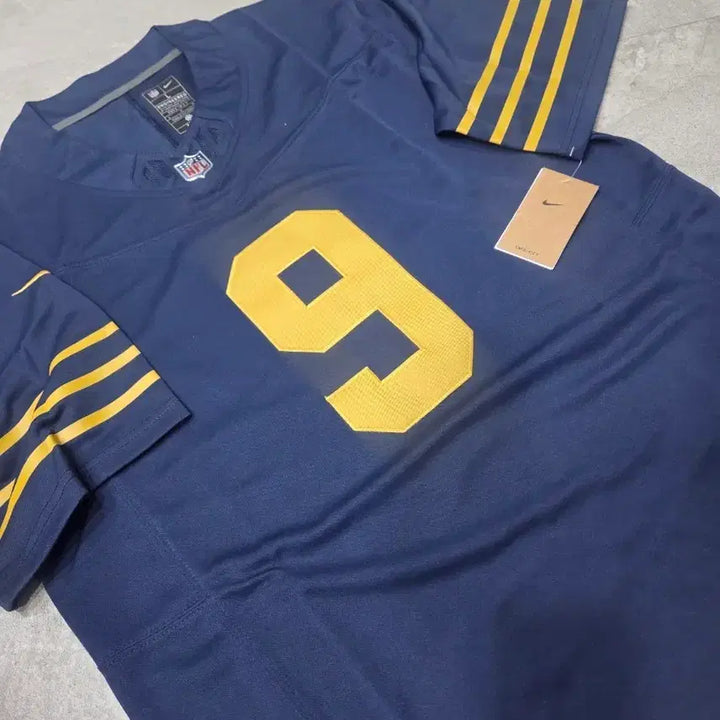 [BUNJANG] Nike NFL Green Bay Packers Football Jersey L / 나이키/NFL 그린베이 패커스 풋볼 럭비져지/L