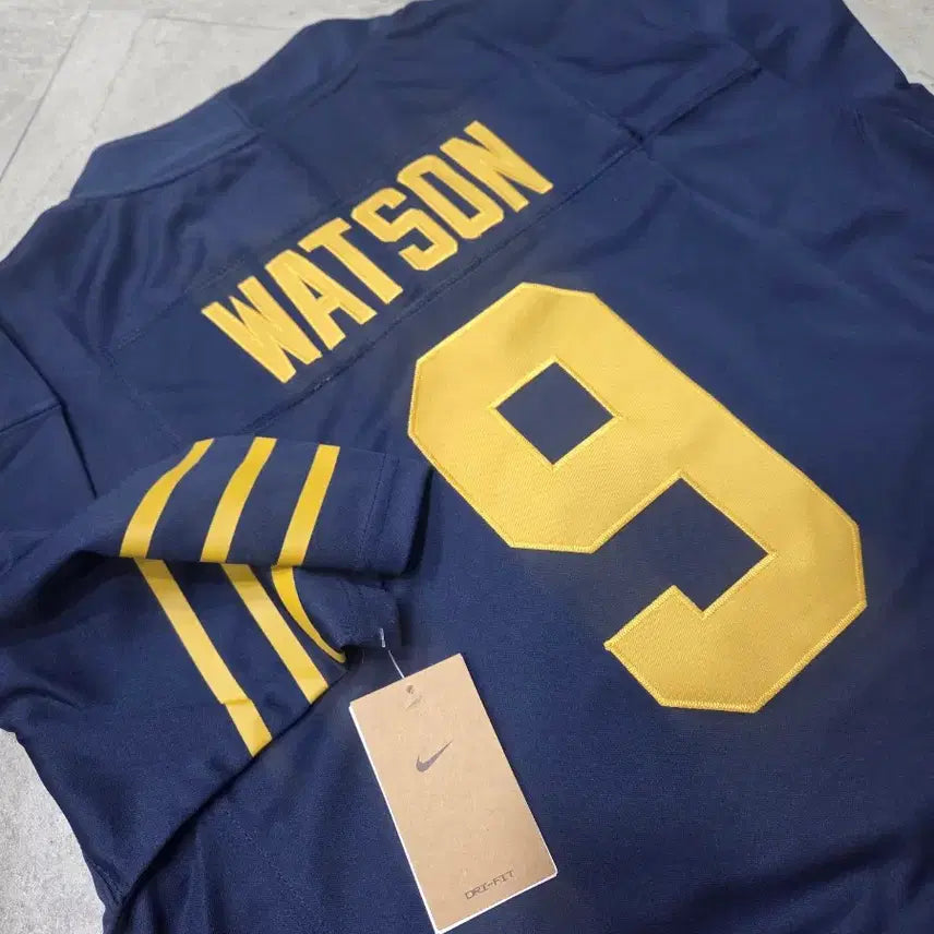 [BUNJANG] Nike NFL Green Bay Packers Football Jersey L / 나이키/NFL 그린베이 패커스 풋볼 럭비져지/L