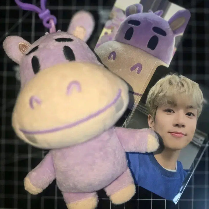 [SOLD OUT] NFLYING 엔플라잉 유회승 인형 하망이 인형 및 포카 일괄