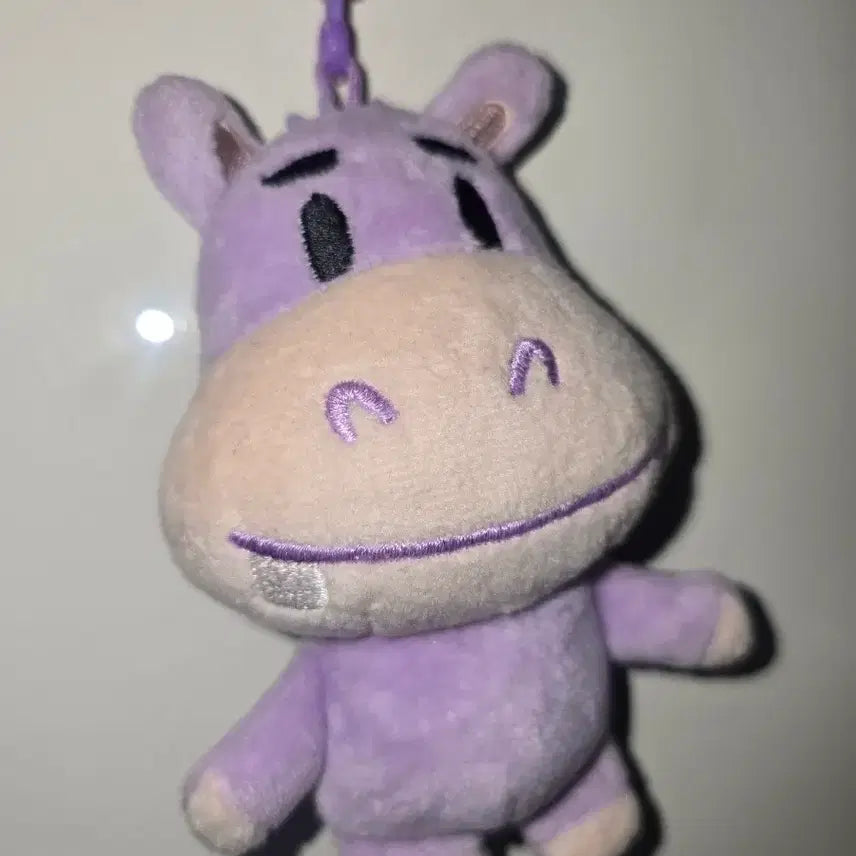 [SOLD OUT] NFLYING 엔플라잉 유회승 인형 하망이 인형 및 포카 일괄