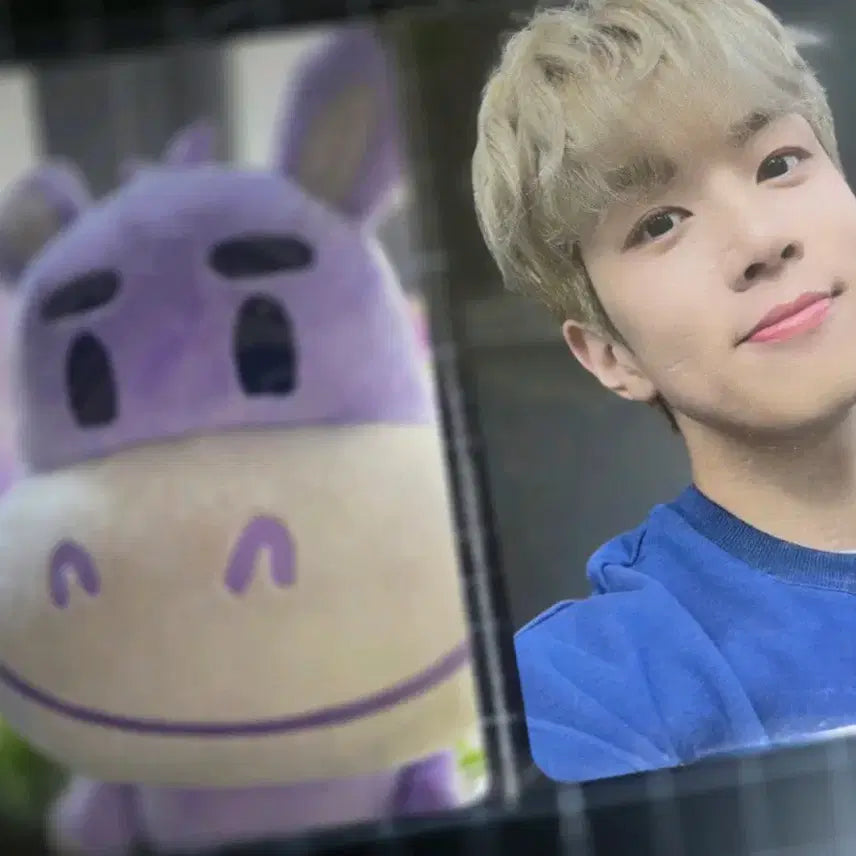 [SOLD OUT] NFLYING 엔플라잉 유회승 인형 하망이 인형 및 포카 일괄