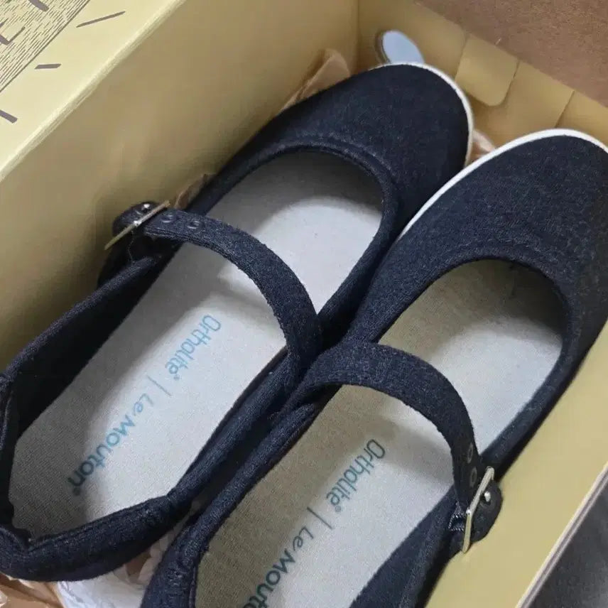 [BUNJANG] Lemontau Mary Jane Flats / 르무통 메리제인