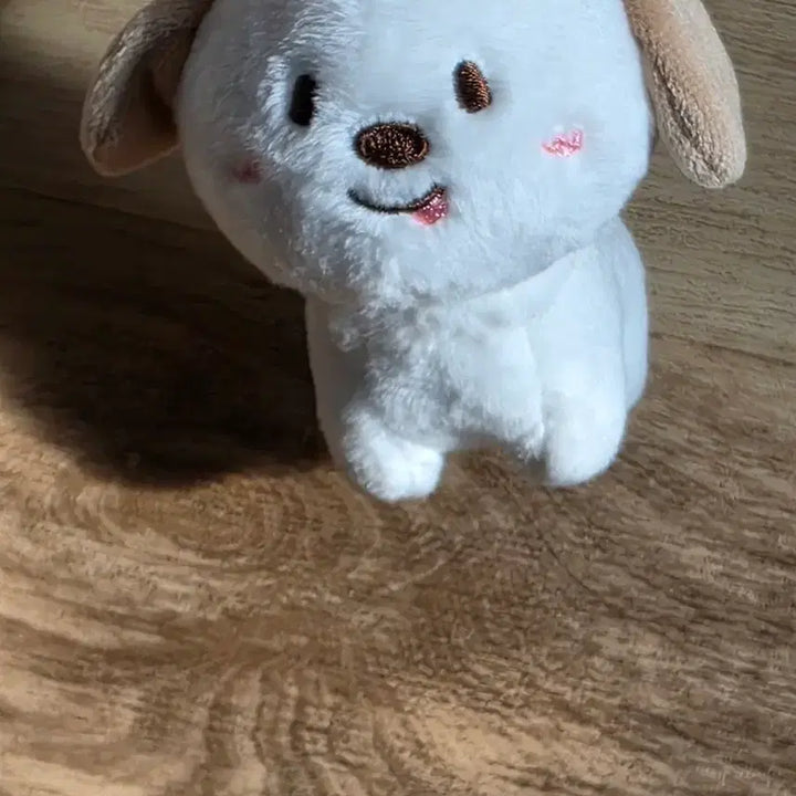 [BUNJANG] RIIZE Sungchan Myeongryongi 1st Gen Live Doll / 라이브 인형 멍룡이 1기