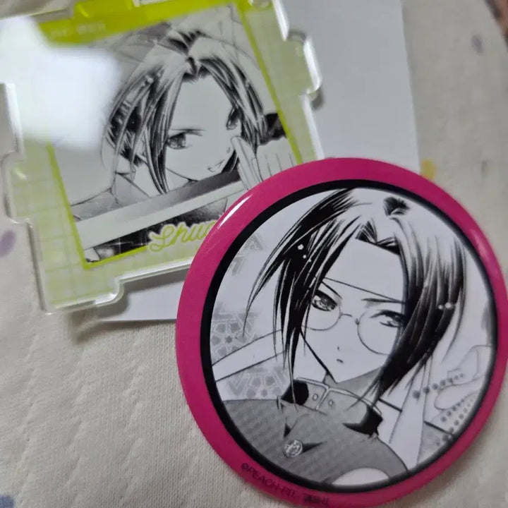 [BUNJANG] Character Album (CharaCharaChange) Can Badge &amp; Acrylic Keychain Bundle Set / 캐릭캐릭체인지 캐캐체 캔뱃지 아크릴 키링 일괄