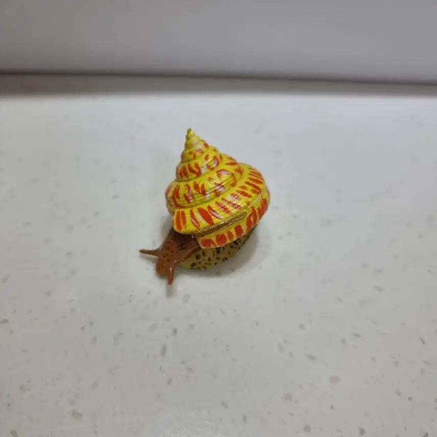 [BUNJANG] Kaiyodo Choco Egg Okinawa Ebisu Snail Figure / 카이요도 초코큐 오키나에비스가이 달팽이 피규어 생물 피규어