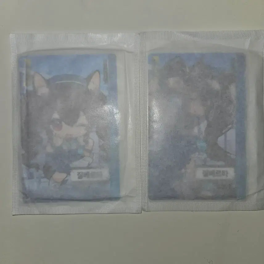 [SOLD OUT] gs25 질베르타 포토카드
