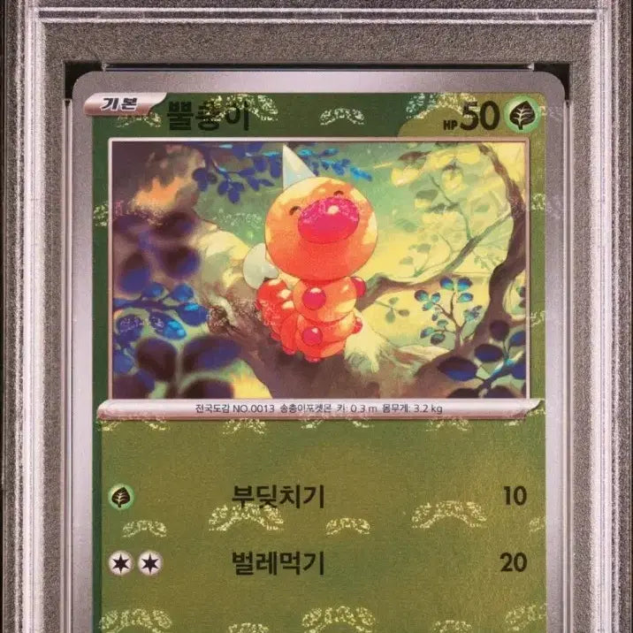 [SOLD OUT] 포켓몬 psa 등급카드 6장 일괄판매