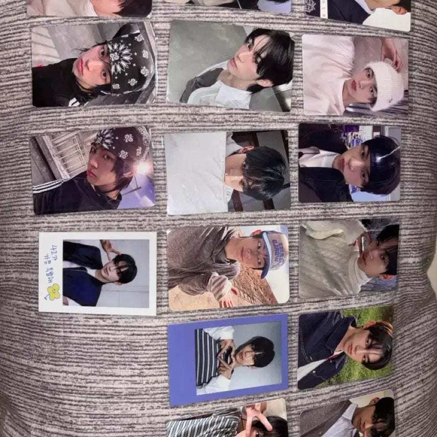[BUNJANG] TWS Dohoon Photocard Bundle Set / 투어스 도훈 포카