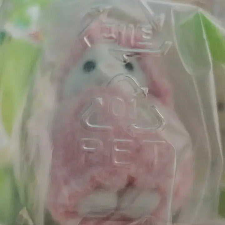 [BUNJANG] Sylvanian Families Fruit Blind Bag Pink Cherry Newborn Persian Cat / 실바니안 과일 블라인드백 핑크 체리 분홍 페르시안 고양이 신생아