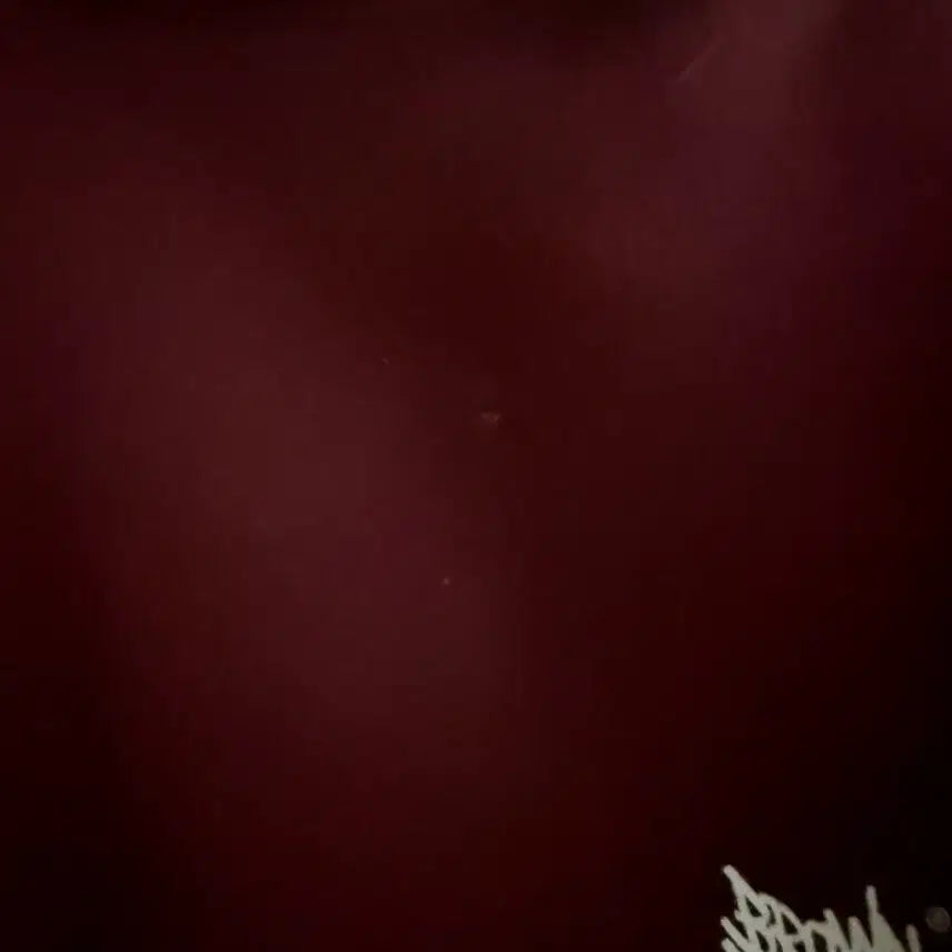[BUNJANG] Brownbreath Hoodie Burgundy / 브라운브레스 후드 버건디