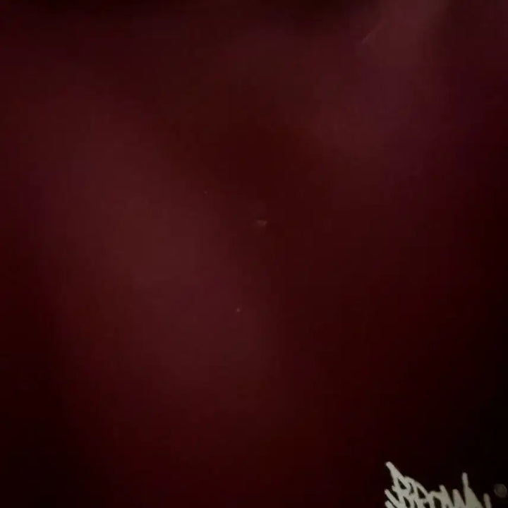 [BUNJANG] Brownbreath Hoodie Burgundy / 브라운브레스 후드 버건디