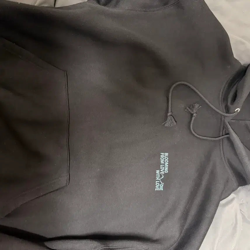 [SOLD OUT] 한로로 발아 후드티 사이즈2