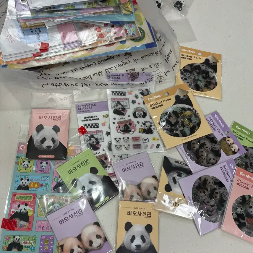 [SOLD OUT] 에버랜드 바오패밀리 굿즈 일괄