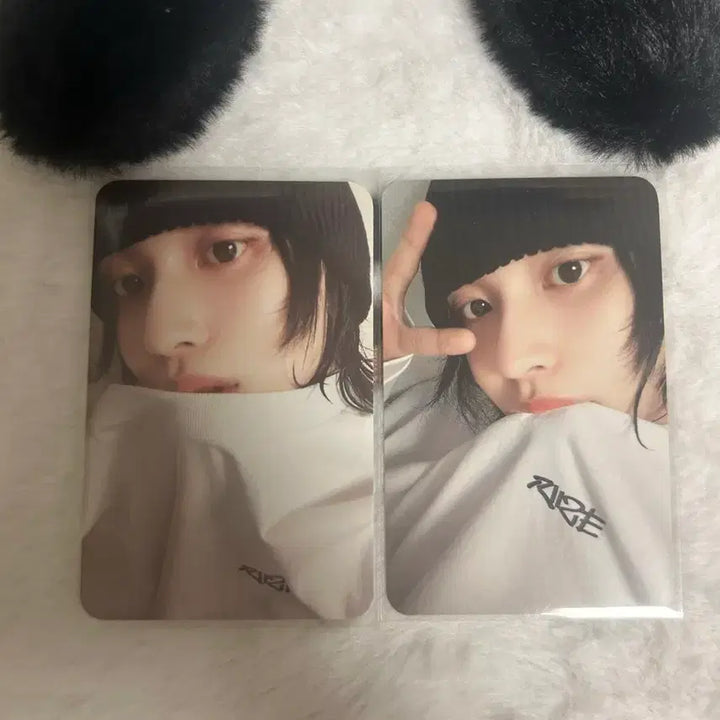 [BUNJANG] (일괄) 라이즈 원빈 슬리브 엠디 포카 양도 판매 / (일괄) 라이즈 원빈 슬리브 엠디 포카 양도 판매