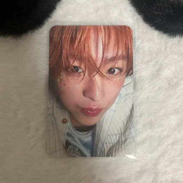 [BUNJANG] 엔시티 위시 송버스 유우시 포카 판매 양도 !! / 엔시티 위시 송버드 유우시 포카 양도 판매 !!