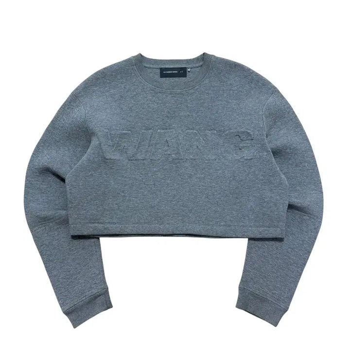 [BUNJANG] Alexander Wang x H&amp;M Logo Cropped Sweatshirt / 알렉산더왕 x H&amp;M 크롭 맨투맨