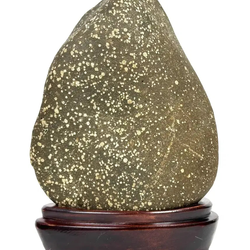 [BUNJANG] Yellow Flower Stone Sculpture / 노란 꽃이 화사한 수석 꽃돌
