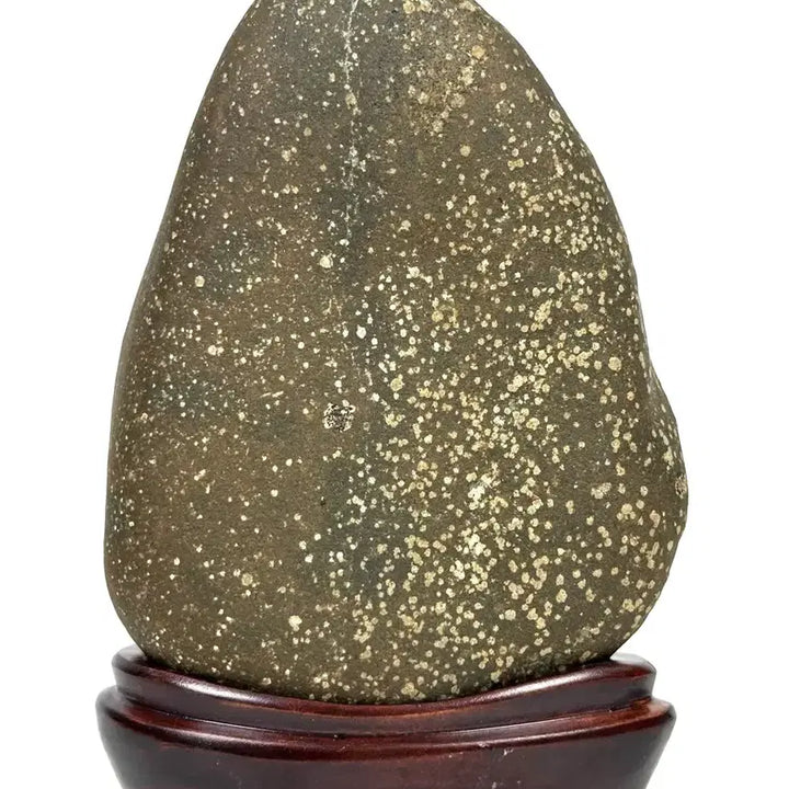 [BUNJANG] Yellow Flower Stone Sculpture / 노란 꽃이 화사한 수석 꽃돌