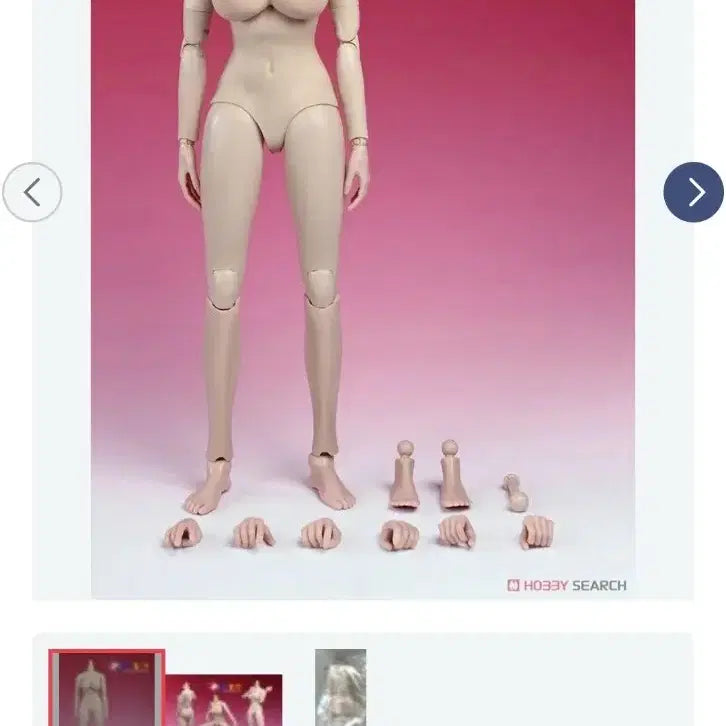 [BUNJANG] Play Toy 1/6 Scale Silicone Female Base Model 2.0 White Large Bust Figure / 플레이토이 1/6 실리콘 바디