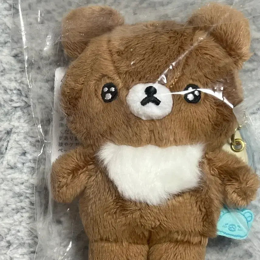 [SOLD OUT] 차이로이코구마 배불러 시리즈 초롱초롱 눈