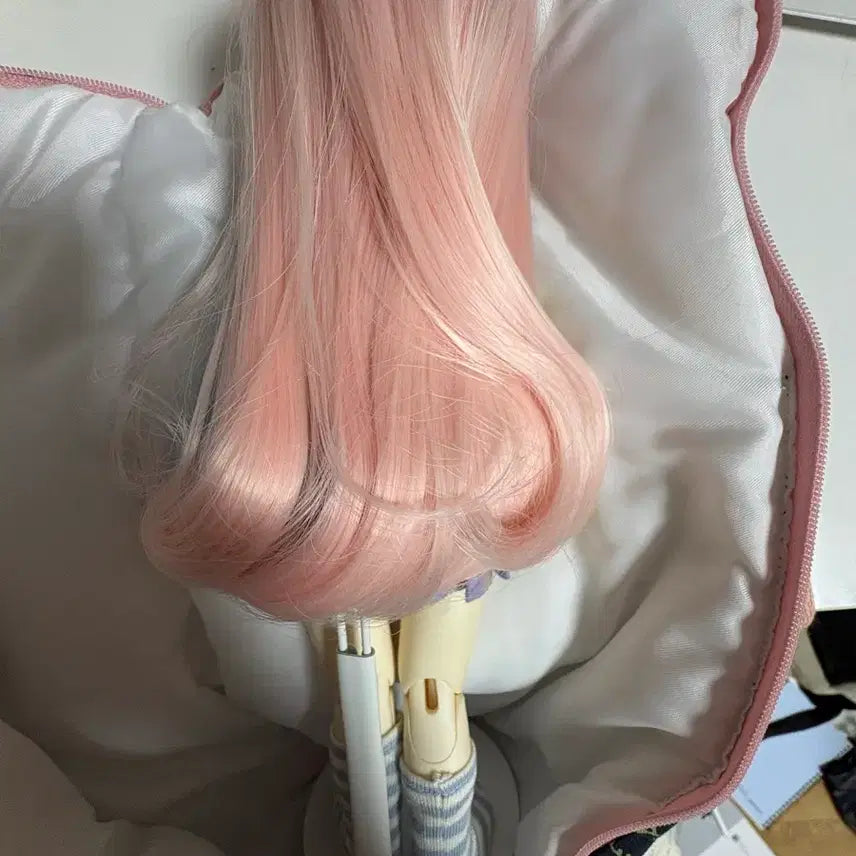 [BUNJANG] 치카비 몰리 / 치카비 몰리