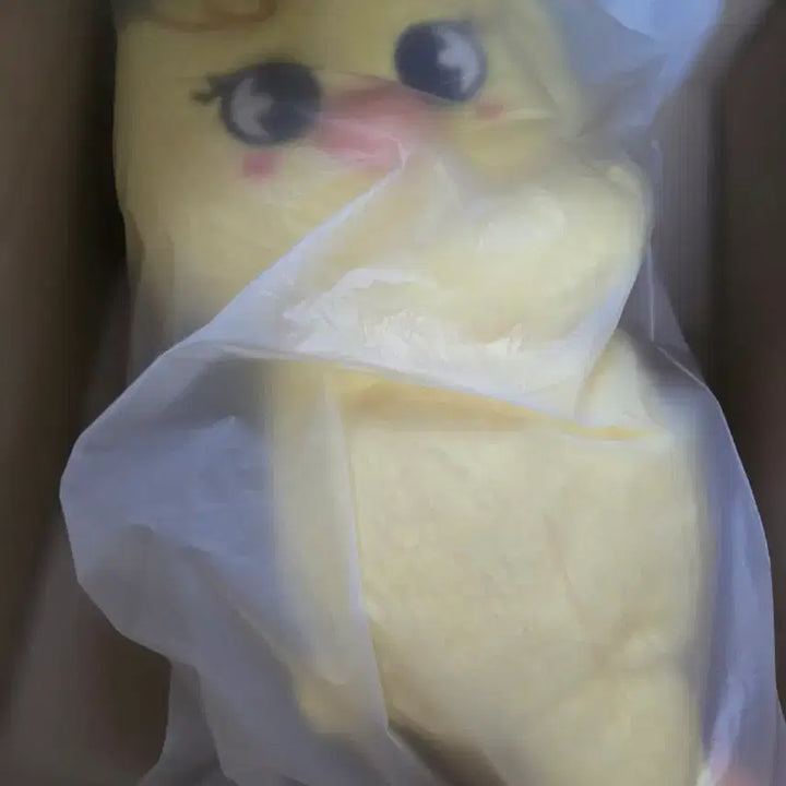 [BUNJANG] SKZOO Plushback Plush Doll / 스키주 플러시백 뽁아리 양도합니다 두잇