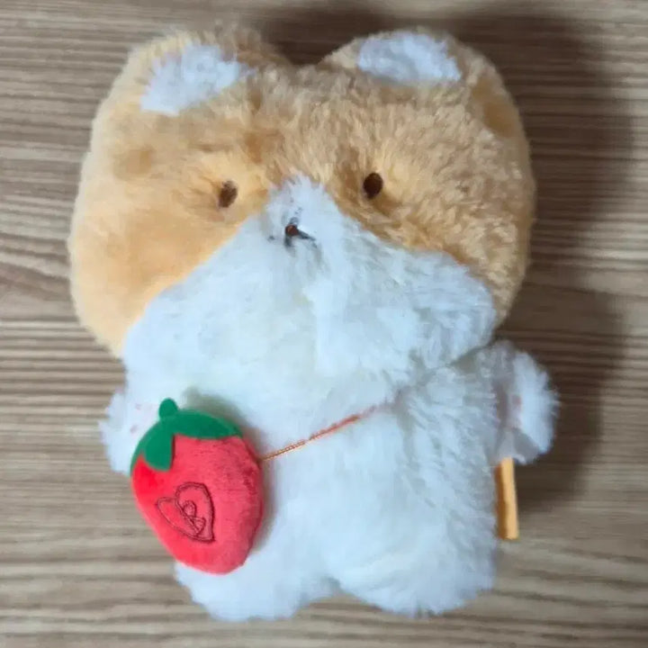 [SOLD OUT] 백현 터래기 20cm 너가 나를 지켜야해 인형 판매합니다