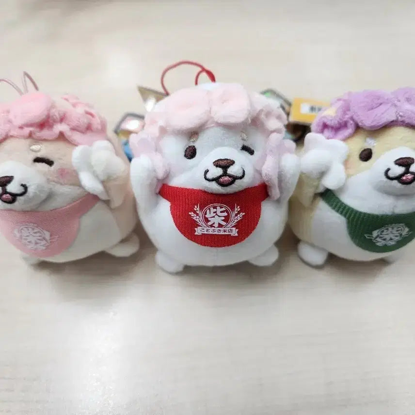 [BUNJANG] Mochi Shiba Plush Keychain 3 Type Bundle Set (New) / 일괄판매-(새제품) 모찌시바 인형키링 3종 일괄