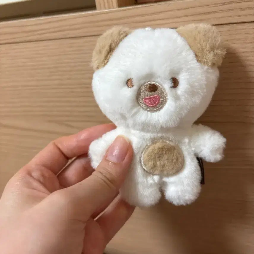 [BUNJANG] Pettit Muls Money / 쁘띠멀즈 돈 판매합니다