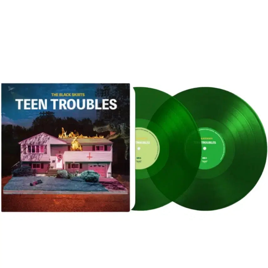 [BUNJANG] Cheongdam The Band (검정치마) Teen Troubles LP / 구매) 검정치마 lp 틴트러블스 TEEN TROUBLES 구매합니다