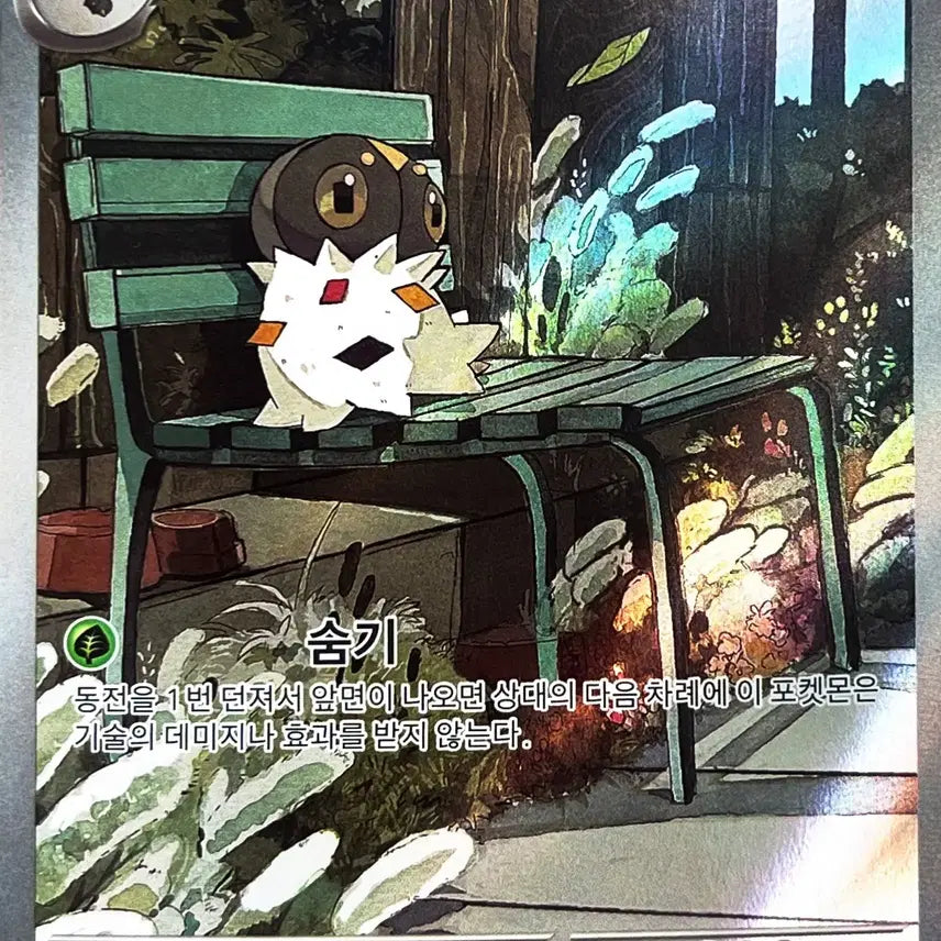 [BUNJANG] Pokemon Bundori AR Card / [!!당일 발송!!] 너무 귀여운 분떠도리 AR