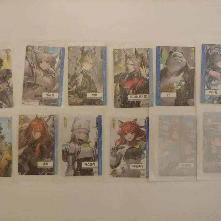 [BUNJANG] Arknights Endfield Photocard Bundle Set / 명일방주 엔드필드 포토카드