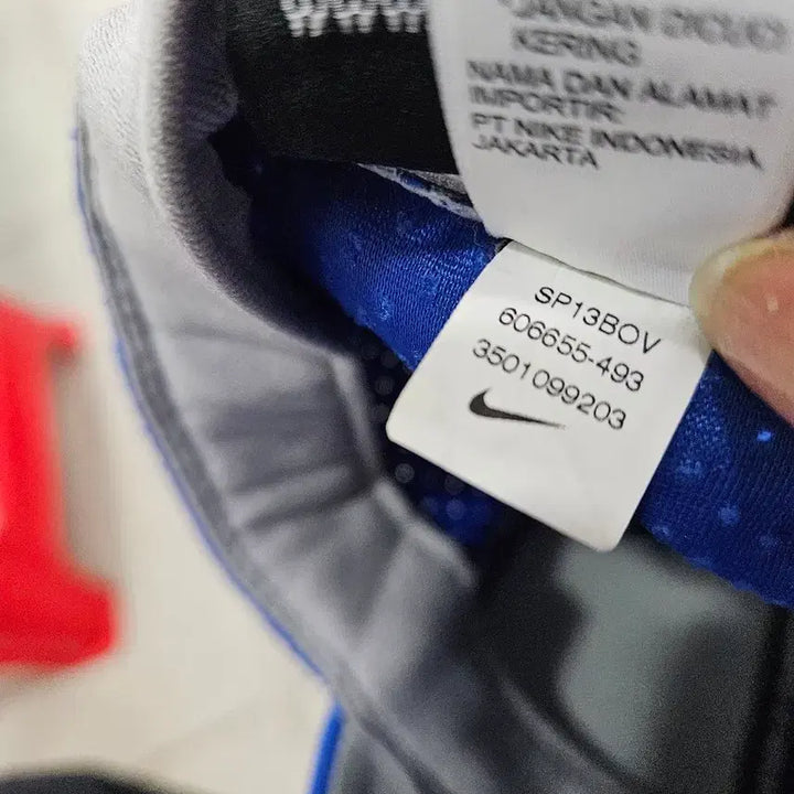 [BUNJANG] Nike National Team Cap (New) / 나이키국대캡2장(새상품)