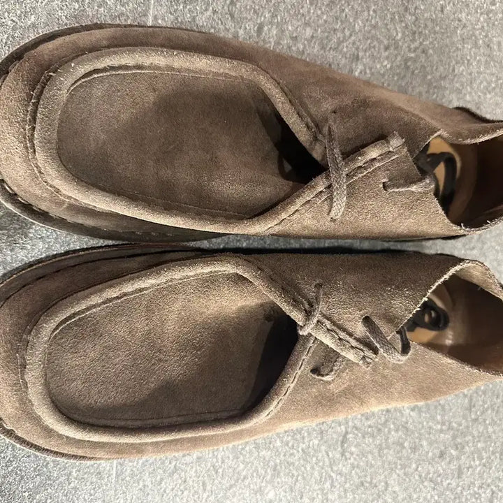 [SOLD OUT] 아스토플렉스 dark chestnut (빈플렉스 42)