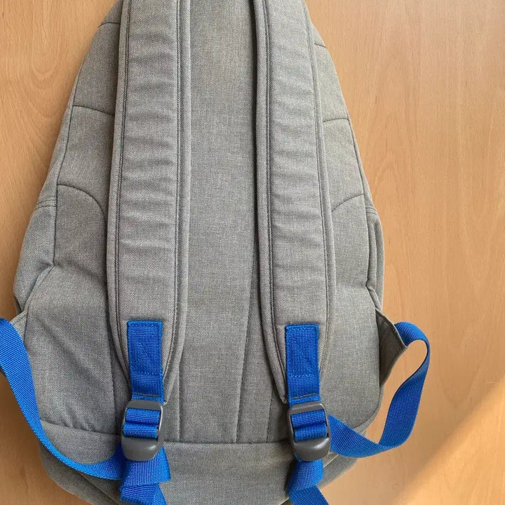 [BUNJANG] Gray Backpack / 백팩