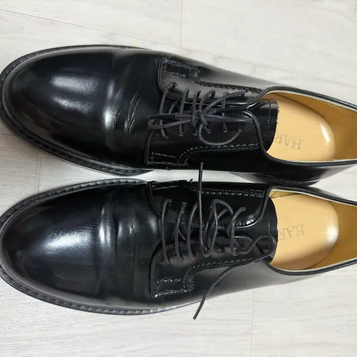 [BUNJANG] Haruta 711 Derby Shoes / 하루타 더비슈즈 711